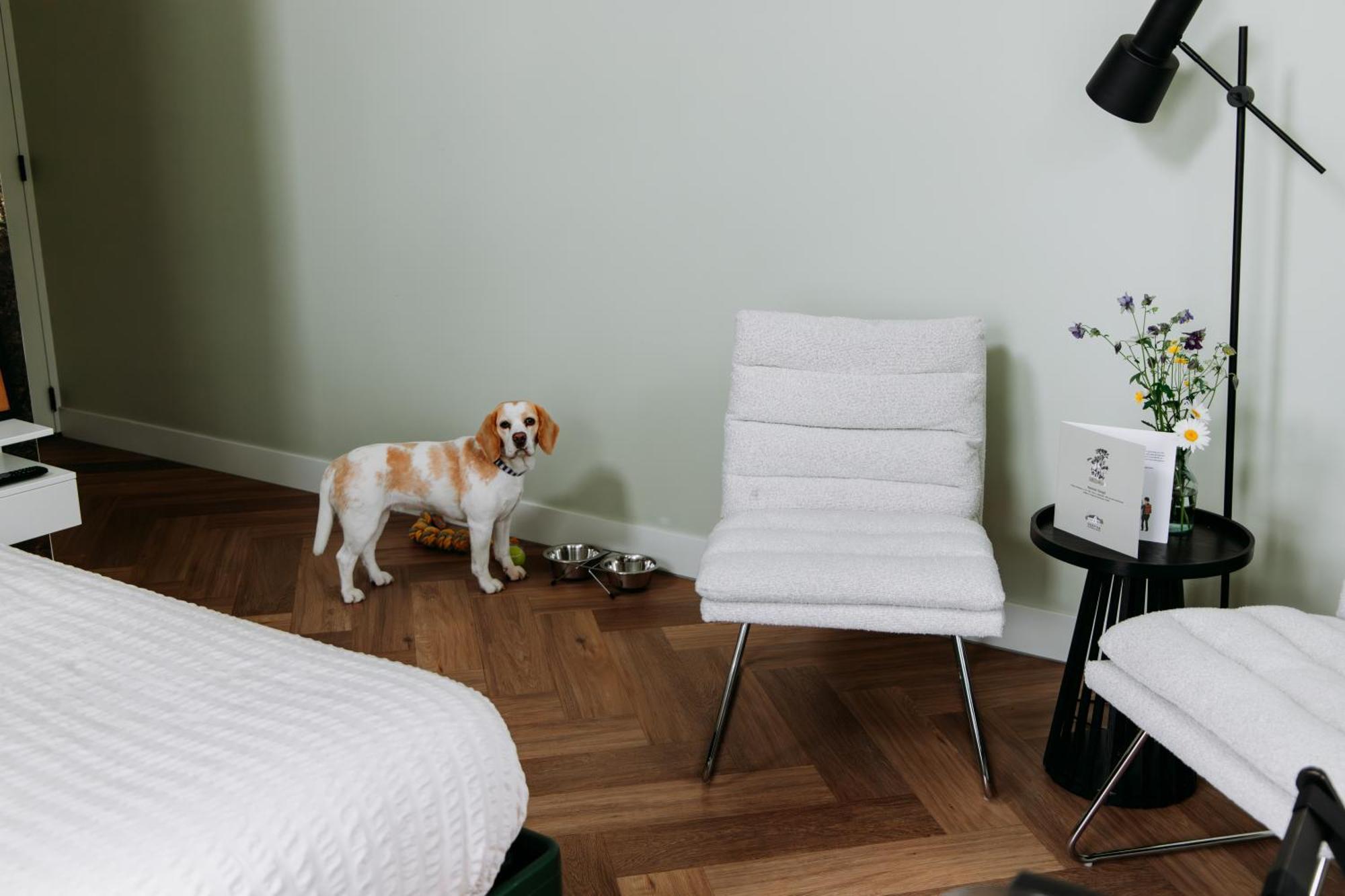 Boutique B&B Oud Aa Breukelen Exterior foto